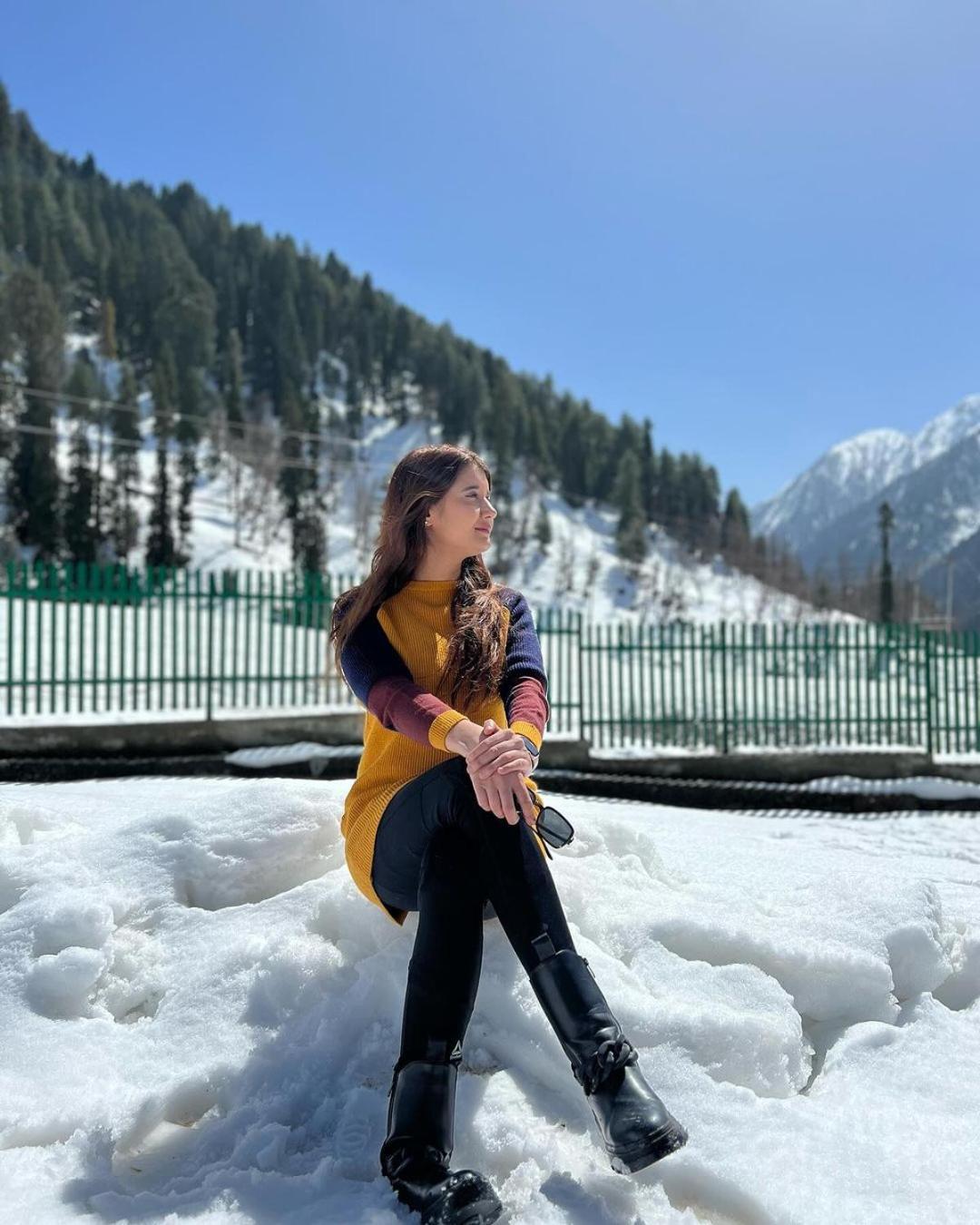 Srinagar Group Of Hotels Exterior foto